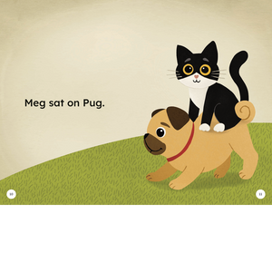 Illustration of a cat sitting on a pug with text 'Meg sat on Pug' on a beige background.