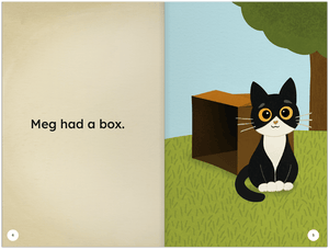 The Box