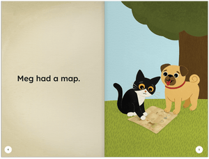 The Map