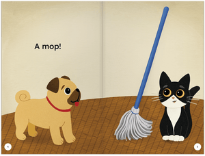 The Mop