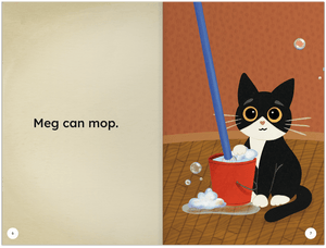 The Mop