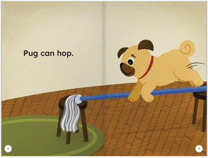 The Mop
