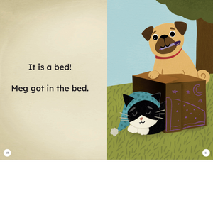 The Box (Meg & Pug Book 5)